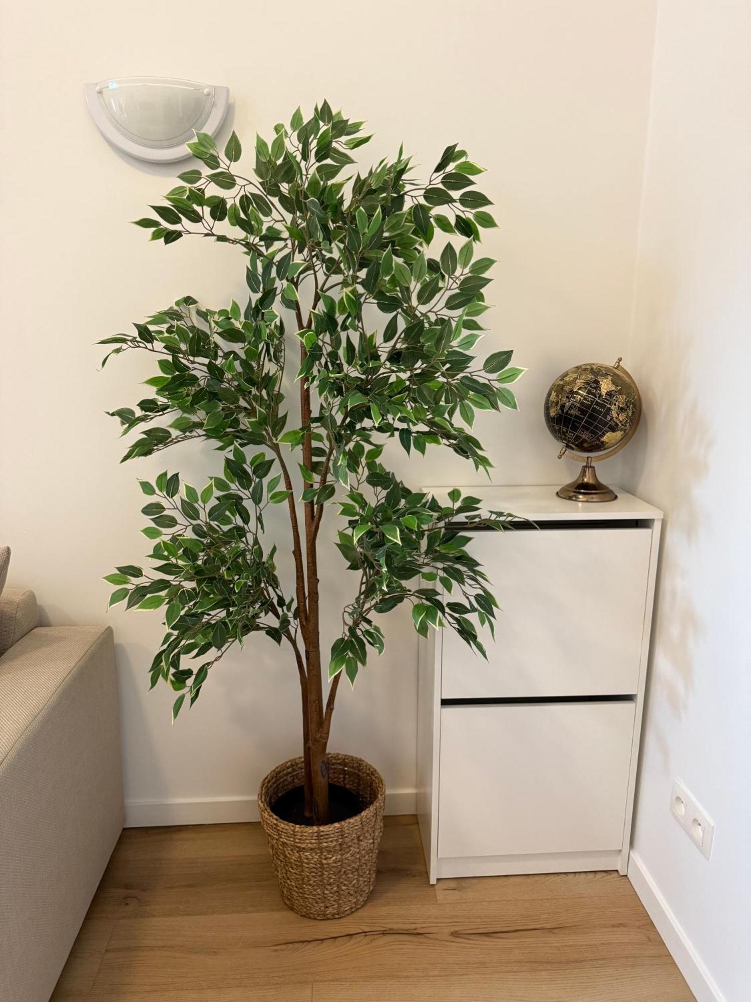 Cozy South-up Appartement